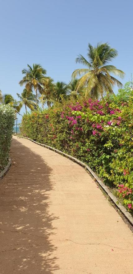 Vue * Le Gosier (Grande-Terre)